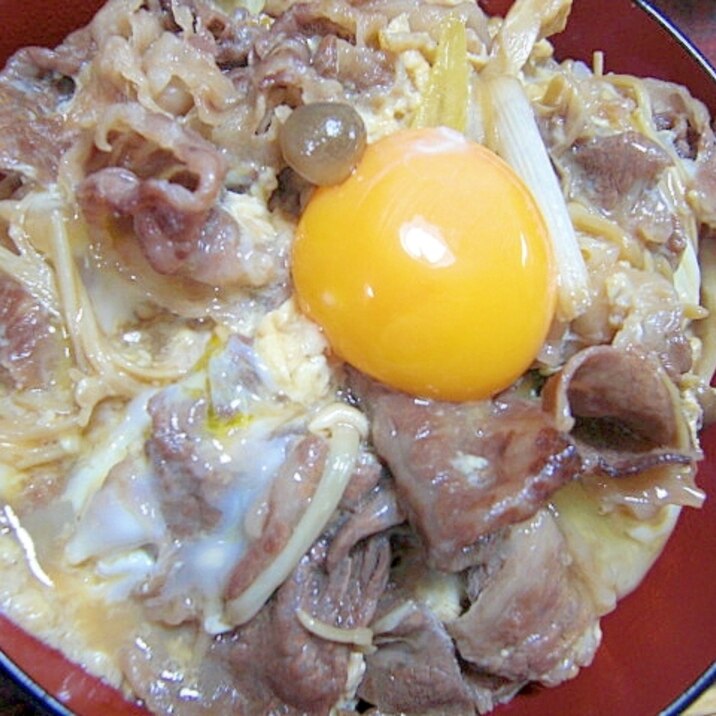 がっつり牛どん